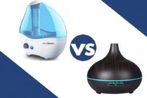 Diffuser and humidifier