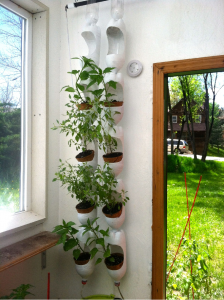 Indoor vertical garden