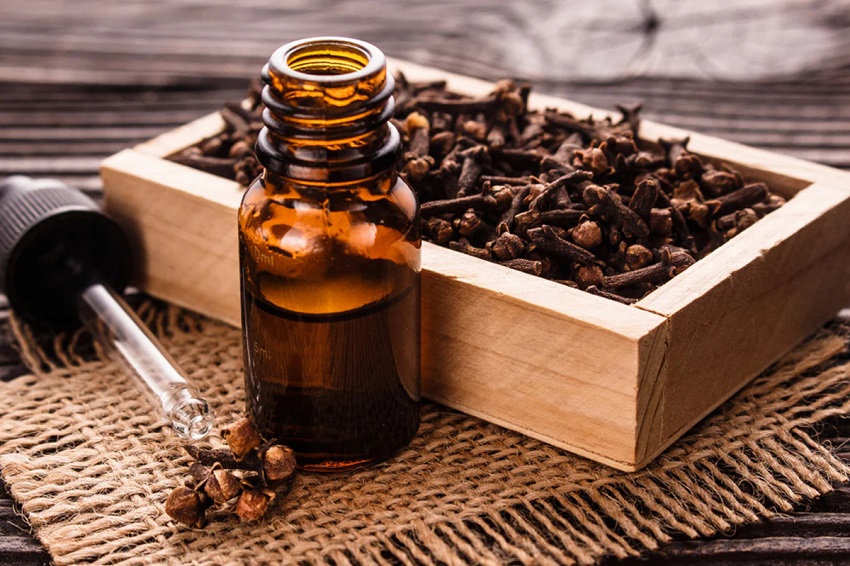 Will Clove Oil Kill Lice: How to Use Clove Oil for Lice Treatment